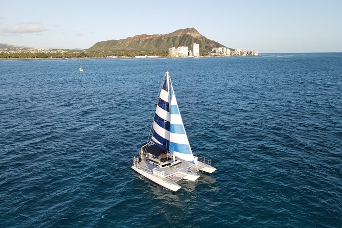 Best Waikiki Snorkel Tour: Guaranteed Turtles at Turtle Canyon - Views, Fish, and Turtle Time: What You Should Expect to See