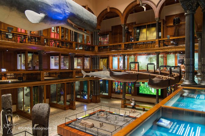Bishop Museum General Admission Ticket - Richard T. Mamiya Science Adventure Center and the live lava melting show