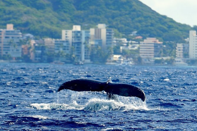 BYOB Sunset Cruise Waikiki - Included comforts: restroom, local music, and a small-group vibe