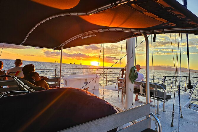 BYOB Waikiki Sunset Swim and Diamond Head Sailing - Wildlife Moments That Make This More Than Pretty Water