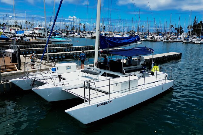 BYOB Waikiki Sunset Swim and Diamond Head Sailing - Who This Waikiki Sunset Swim and Diamond Head Sailing Fits Best