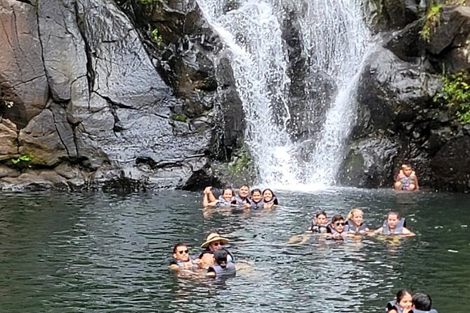 Byodo Temple and Waimea Botanical Garden Tour - Price and value for an 8-hour, pickup-included day