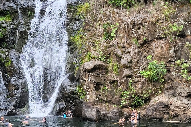 Byodo Temple and Waimea Botanical Garden Tour - Waimea Botanical Gardens and Waterfall: the hardest walk, with an out