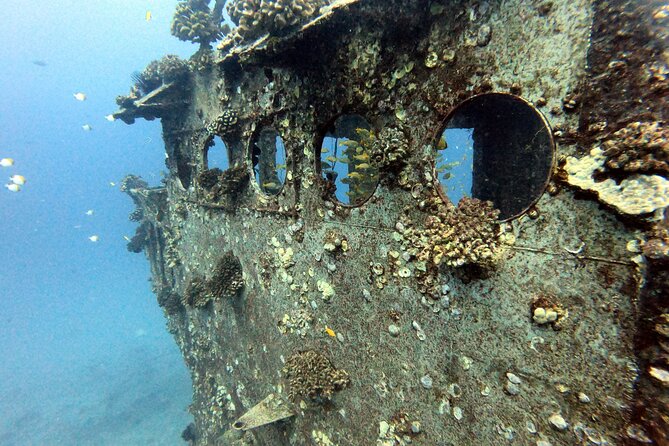 Certified Diver: 2-Tank Deep Wreck and Shallow Reef Dive Off Oahu - Two tanks, two habitats off Oahu’s south shore