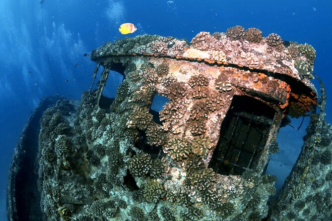 Certified Diver: 2-Tank Deep Wreck and Shallow Reef Dive Off Oahu - Who this tour fits best, and who should choose something else