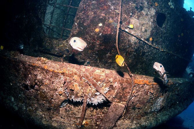 Certified Diver: 2-Tank Deep Wreck and Shallow Reef Dive Off Oahu - Practical tips so your day feels easy