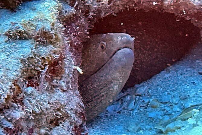Certified Diver: 2-Tank Night Dive - Getting to Kewalo Basin Harbor and what you do before you go in
