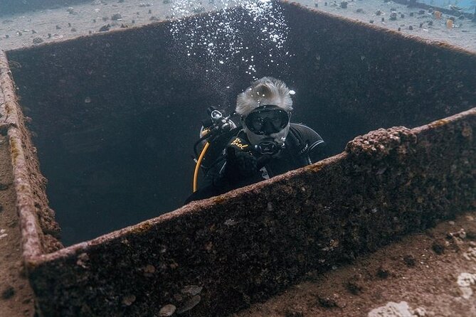 Certified Divers: Best 2-Tank Wrecks & Reef Boat Dive All Inclusive From Waikiki - Price and Value: What $259 Really Buys You