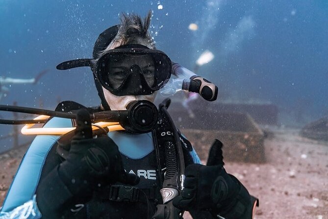 Certified Divers: Best 2-Tank Wrecks & Reef Boat Dive All Inclusive From Waikiki - Reef Time for Hawaii Sea Life After the Ship