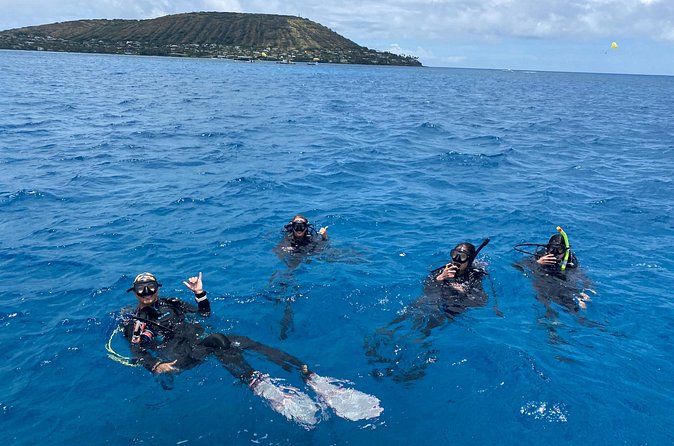 Certified Scuba Diving Along Two Shallow Reef Sites - The 3-Hour Flow: What to Expect From Start to Finish