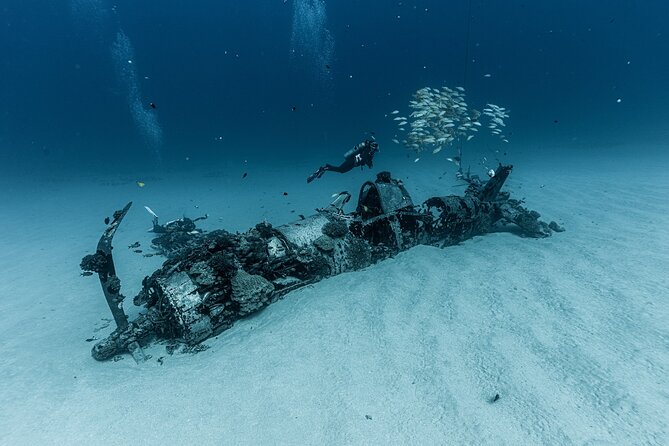 Certified Scuba Diving Experience in Honolulu - Why This 7:00 a.m. Advanced Charter Works On Oahu