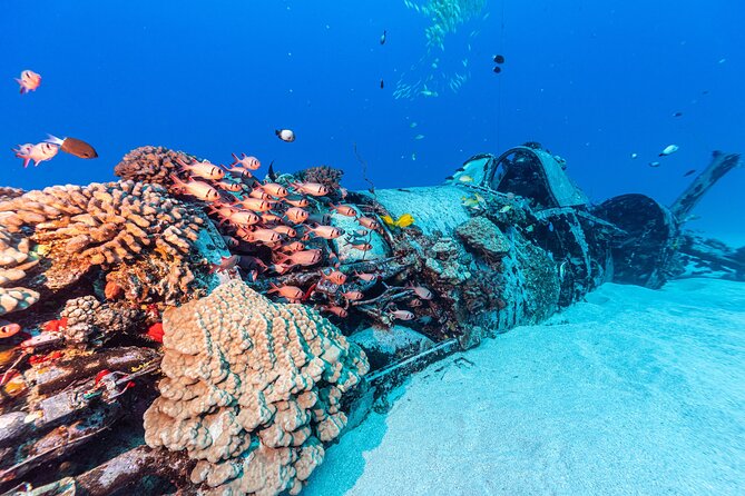Certified Scuba Diving Experience in Honolulu - First Underwater Session: Deep Wreck or Deep Site (80 to 120 Feet)