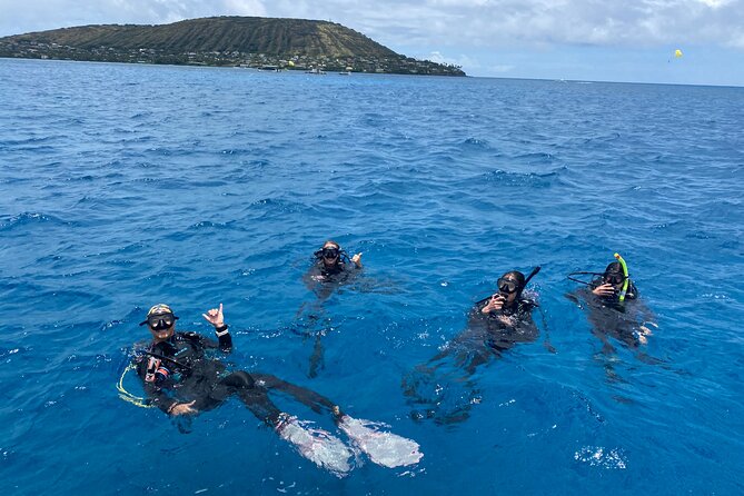 Certified Scuba Diving Experience in Honolulu - Second Underwater Session: Reef Water at 30 to 50 Feet