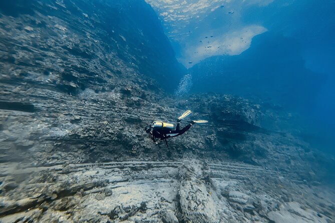 Certified Scuba Diving Experience in Honolulu - Boat Day Flow, Safety Mindset, and Small Group Feel