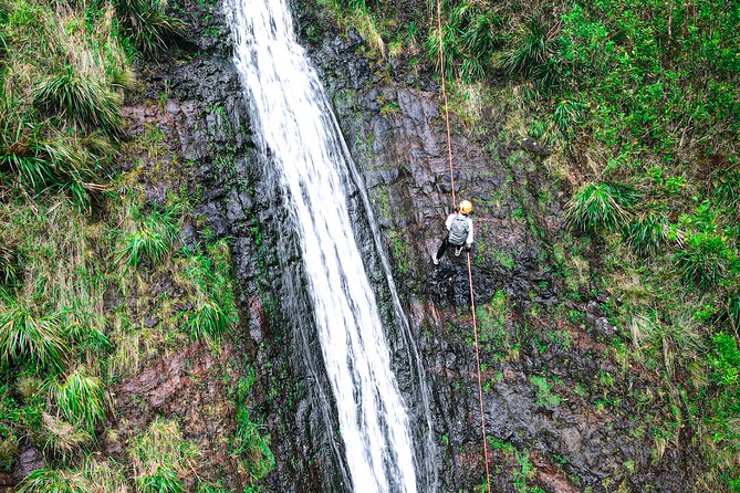 Chasing Waterfalls:Wild Hawaii Rappelling - After your descent: pool time, snacks, and photos on request