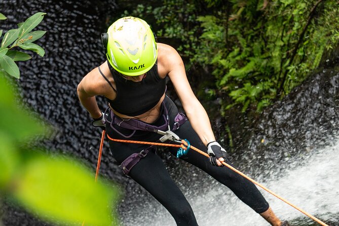 Chasing Waterfalls:Wild Hawaii Rappelling - Price and value: $350 for a small-group safety setup