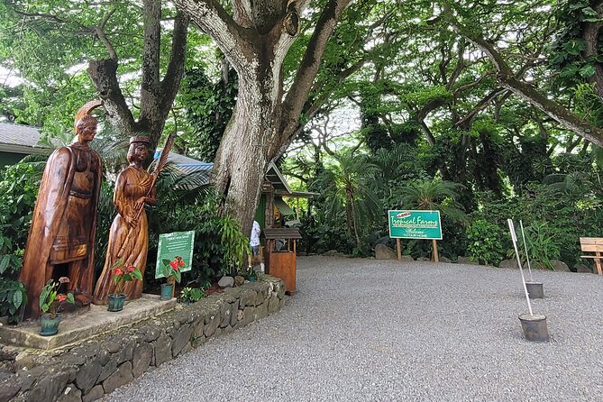 Circle Island 8hr Private Small Group Tour - Key things to know before you go
