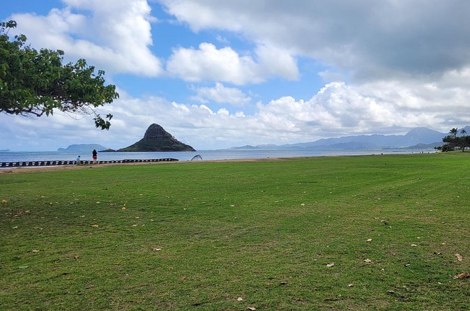 Circle Island 8hr Private Small Group Tour - Kuilima Farm Stand: quick tropical fruit browsing for real local flavor