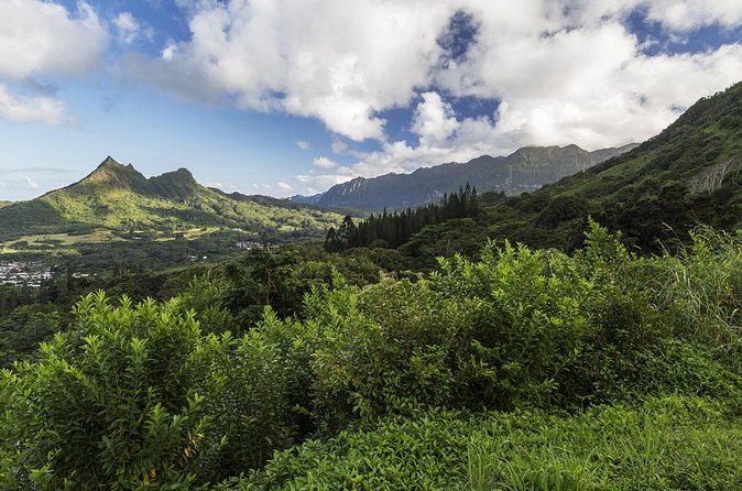 Circle Island (Holoholo Mokupuni) from Ko'olina - North Shore Macadamia Nut Company and the Randy Paty farming story