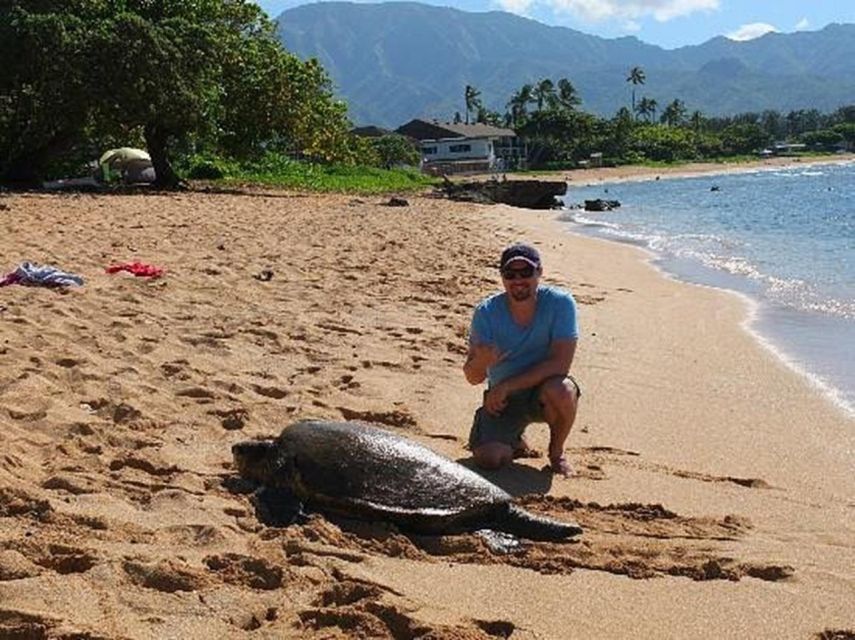 Circle Island: Swim with Turtles and Explore Paradise Oahu - Price and value: is $149 per person worth it?