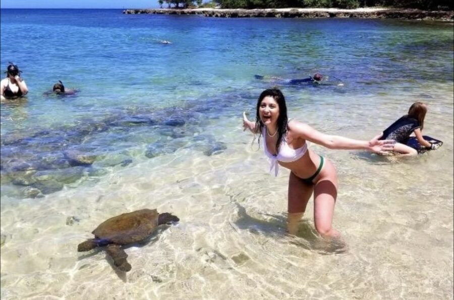 Circle Island: Swim with Turtles and Explore Paradise Oahu - The morning game plan: pickup timing from Waikiki