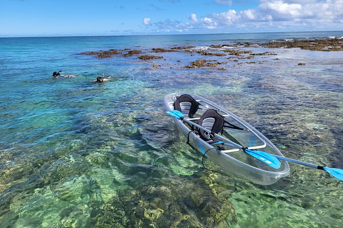 Clear Bottom Kayak - Guaranteed to see Turtles! - Key things to know before you paddle for turtles