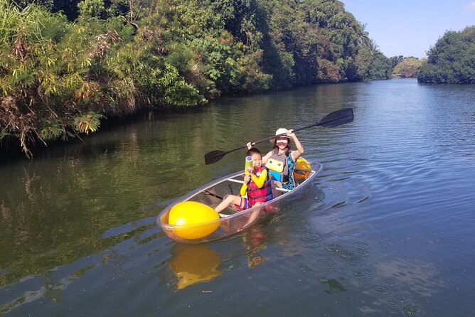 Clear Bottom Kayak - Guaranteed to see Turtles! - Who should book this tour, and what to bring