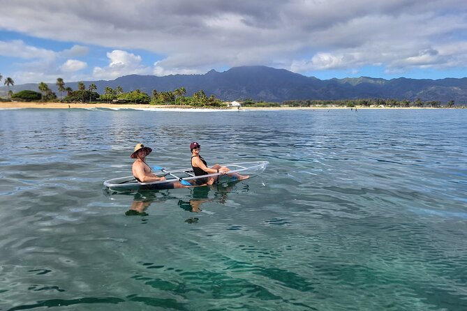 Clear Bottom Kayak - Guaranteed to see Turtles! - Should you book the Clear-Bottom Kayak guaranteed-turtle vibe?