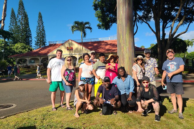 Cruise Ship with Direct "Pier Pick Up" All Fee's Included - Royal Honolulu Quick Hits: Iolani Palace and the Kamehameha Statue