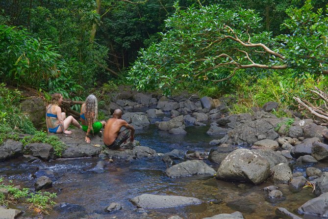 Custom Island Adventure Tours - Waterfalls and Hiking: What Moderate Fitness Really Means