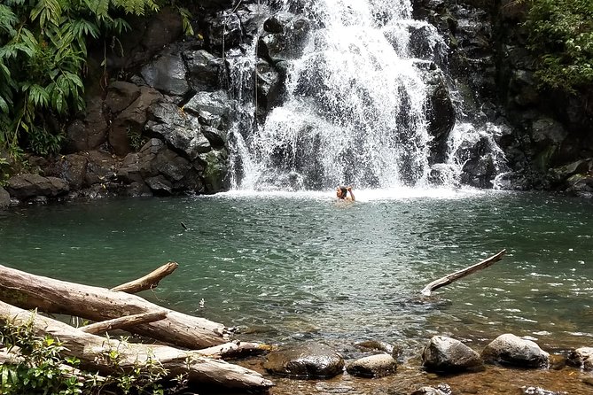 Custom Island Adventures Tour - Quick reasons to book Custom Island Adventures