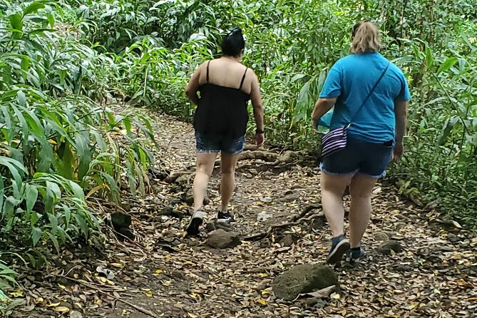 Custom Island Adventures Tour - Oahu’s iconic roadside classics, the ones you can request