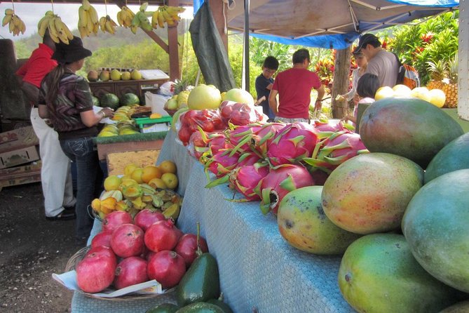 Custom Island Tour - for 4 to 5 people - up to 8 hours - Private tour of Oahu - Choosing the right day plan, and how to get the best tour