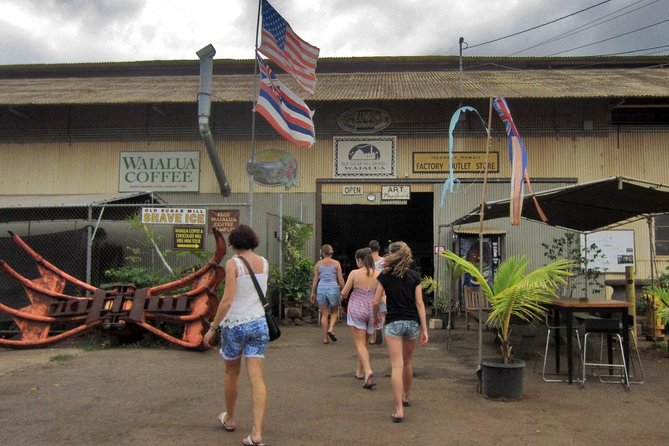 Custom Island Tour - for 4 to 5 people - up to 8 hours - Private tour of Oahu - The guides that tend to create a great day