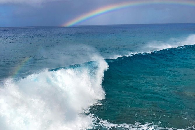Customizable Island Tours Tours on Oahu - Price and value: $925 per group, up to five people