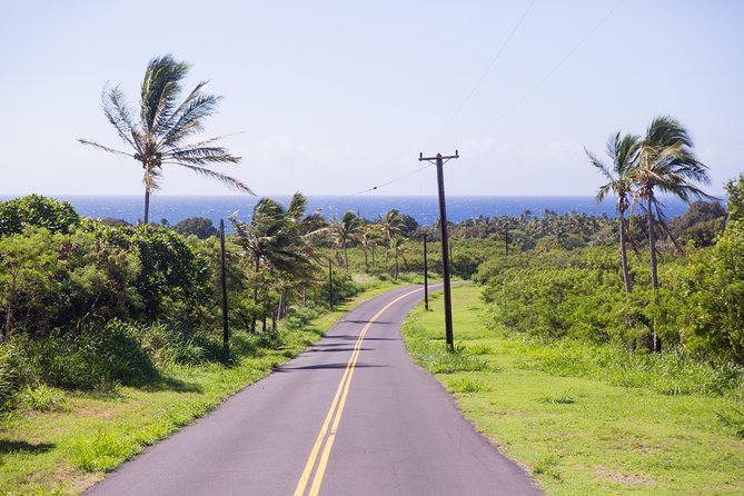 Day Trip from Oahu to Hilo: Volcano Adventure - The price question: does $654.46 feel fair for this much logistics?
