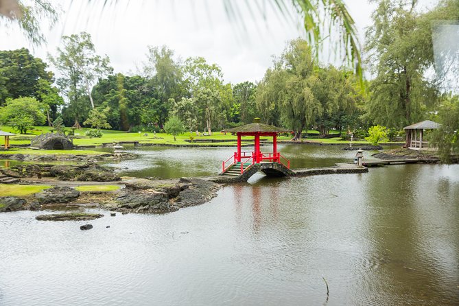Day Trip from Oahu to Hilo: Volcano Adventure - What kind of traveler will love this day trip, and what to watch for