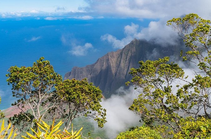 Day Trip from Oahu to Kauai: Highlights & Movie Sites - Raiders of the Lost Ark: Mountain Views on a Tight Schedule