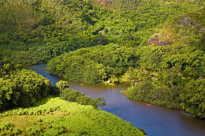 Day Trip from Oahu to Kauai: Waimea Canyon & Wailua River - Opaekaa Falls: The Accessible Waterfall Stop (and Why That Matters)