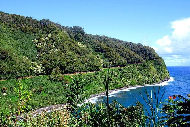 Day Trip from Oahu to Maui: Road to Hana Adventure - Hana Farms lunch: pre-set timing that keeps the day moving