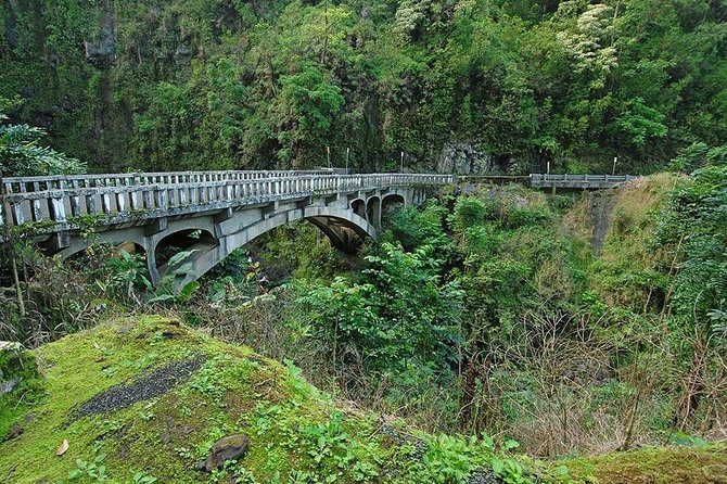 Day Trip from Oahu to Maui: Road to Hana Adventure - Price and value for $664.53 per person, and what’s not included