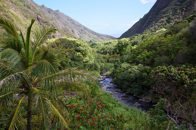 Day Trip Oahu to Maui: Sips, Sites and Bites - 5:30 am Start and Interisland Flights: The Part You Control