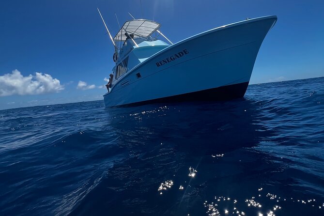 Deep Sea Exclusive Fishing Charter in Honolulu - Weather matters, and so does your day plan