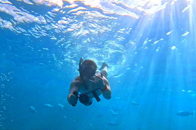 Deluxe Turtle Snorkeling Escapade at Waikiki - A 45-seat catamaran day in Waikiki waters