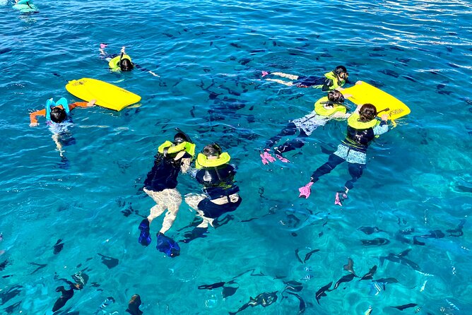 Deluxe Turtle Snorkeling Escapade at Waikiki - Snorkeling gear, sea toys, and crew support that makes wildlife time easier