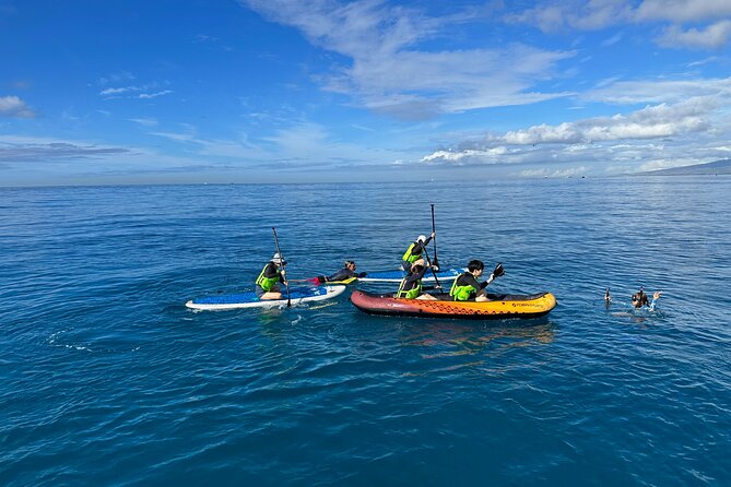 Deluxe Turtle Snorkeling Escapade at Waikiki - Who should book this turtle snorkeling catamaran, and who should skip it