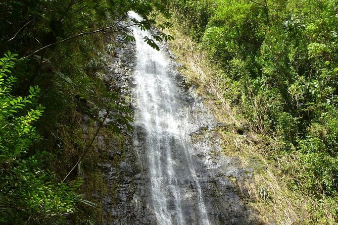 Diamond Head and Manoa Falls Hike and Adventure Tour - Pickup and pacing: what a 6.5-hour morning looks like
