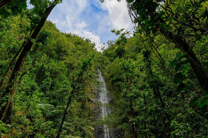 Diamond Head and Manoa Falls Hike and Adventure Tour - Diamond Head State Monument: the crater hike, plus an audio guide