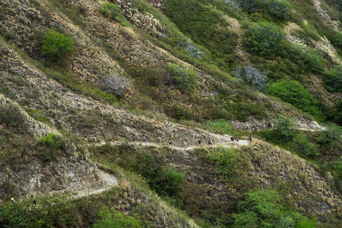 Diamond Head and Manoa Falls Hike and Adventure Tour - Manoa Falls Trail: short jungle walking with waterfall payoff