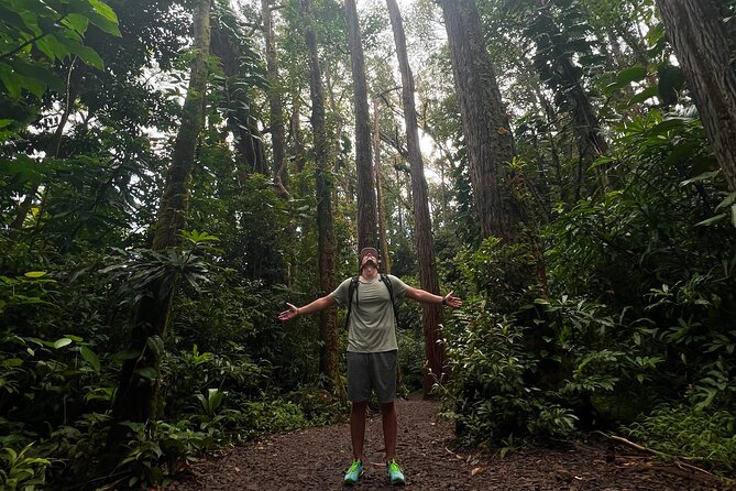 Diamond Head and Manoa Falls Hike and Adventure Tour - Price and value: what $149 per group really means